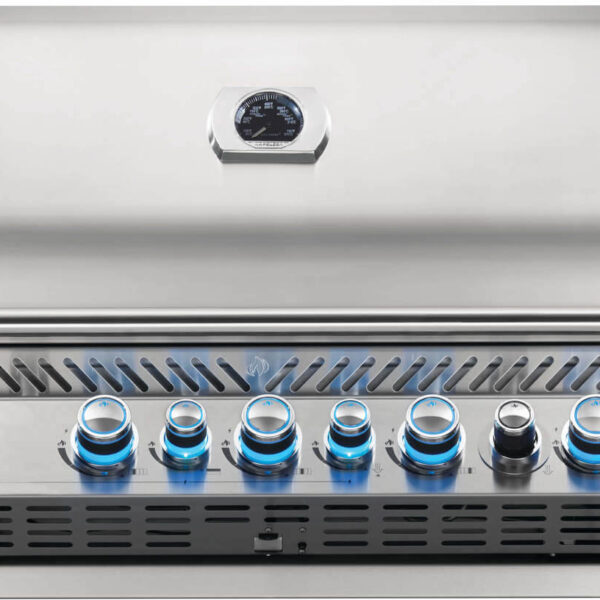 Built-in PRO665 Natural Gas with proximity/colour changing lights